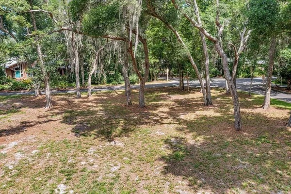 a view of a tree in a yard