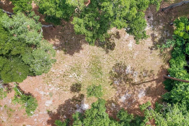 a view of a yard with a tree