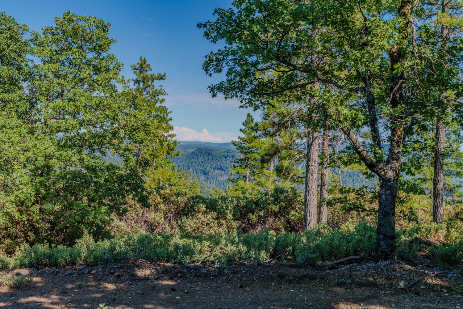 0 Silver Point Pioneer, CA 95666 - Photo 5 of 26