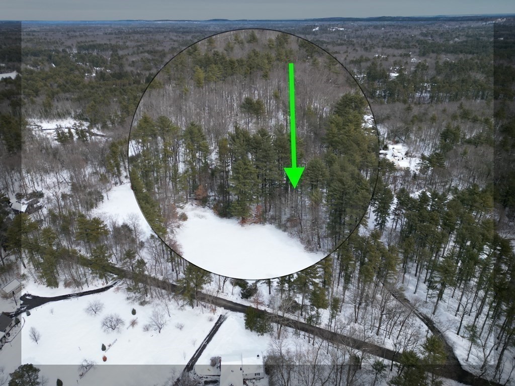 a picture of a tree with a table in it
