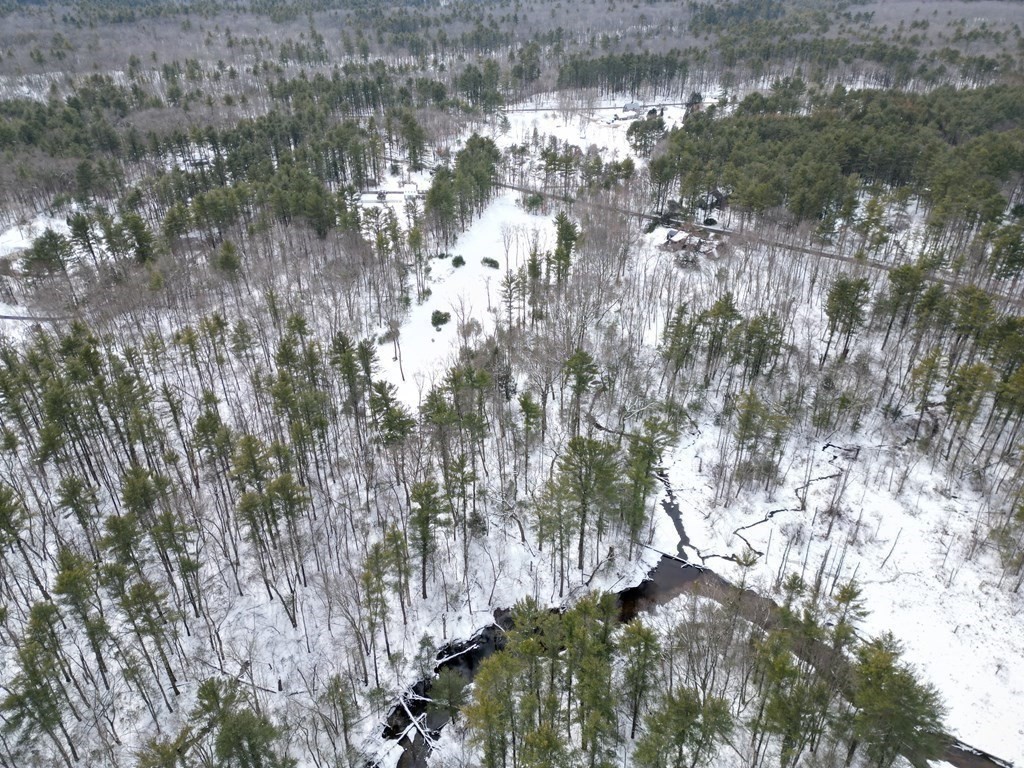 Lot 2 Mill Road Boxford, MA 01921 - Photo 17 of 19 a view of tree
