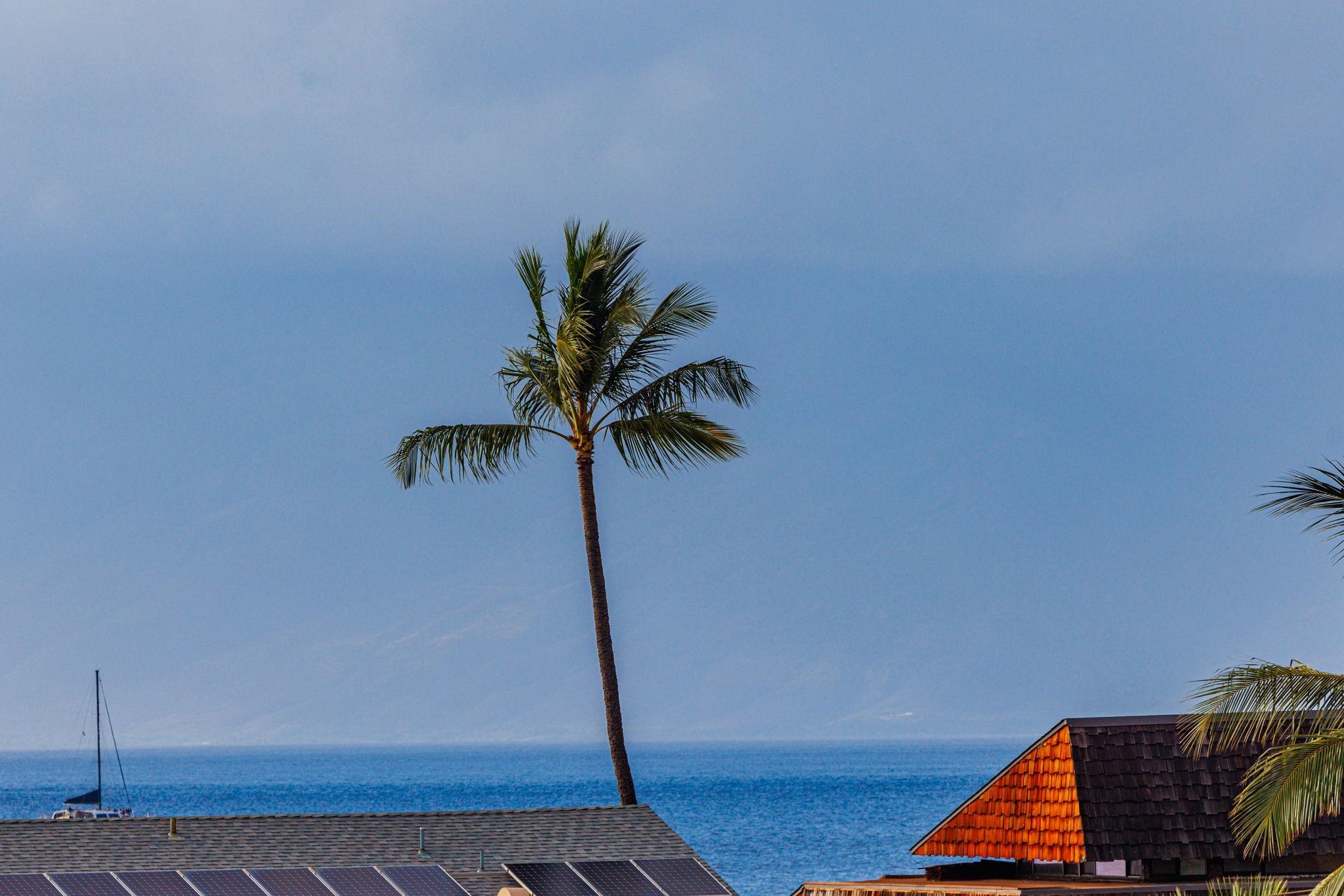 3708 Lower Honoapiilani Road, Unit E33 Lahaina, HI 96761 - Photo 25 of 35