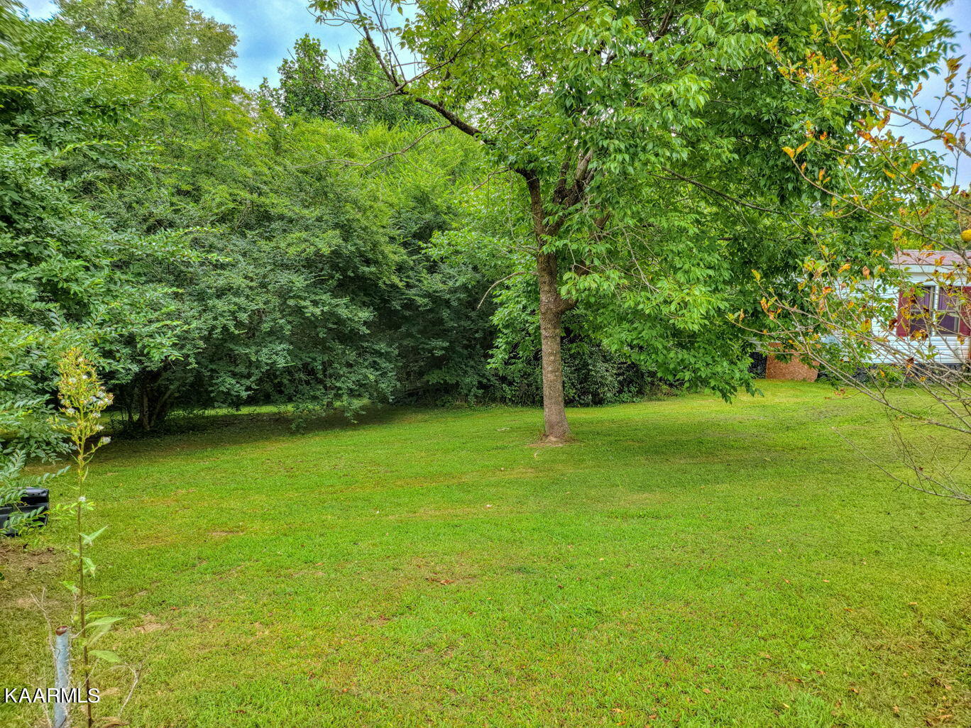 3171 Rte Davis Road Spencer, TN 38585 - Photo 8 of 13 6-web-or-mls-20220816_122510_9