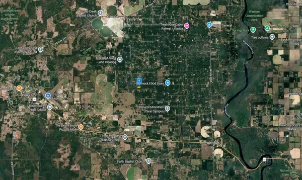 a view of a tree in a yard