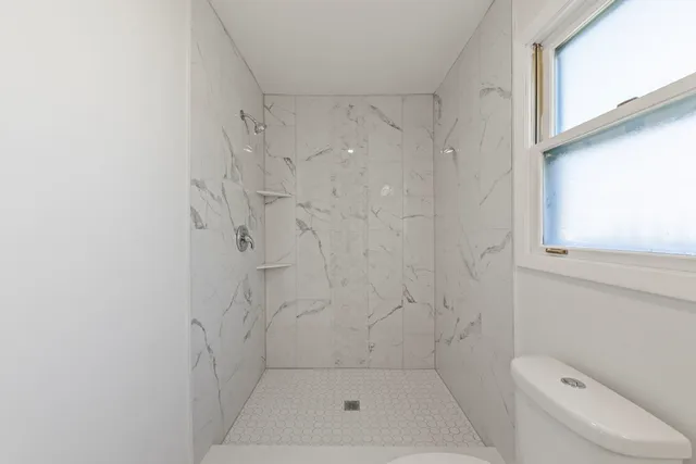 a bathroom with a shower and toilet