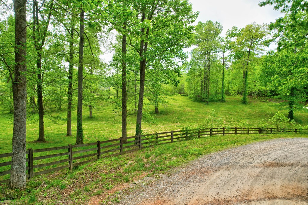 89 Kennemur Road Ellijay, GA 30536 - Photo 3 of 23 a view of a park with large trees