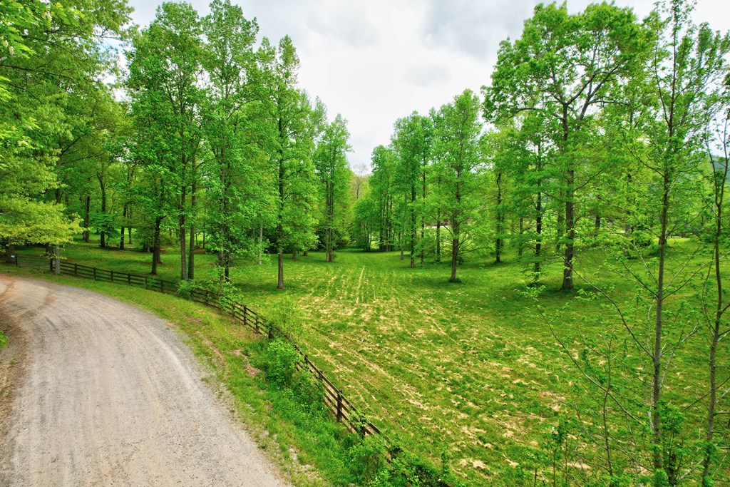 89 Kennemur Road Ellijay, GA 30536 - Photo 5 of 23 a view of a park with large trees
