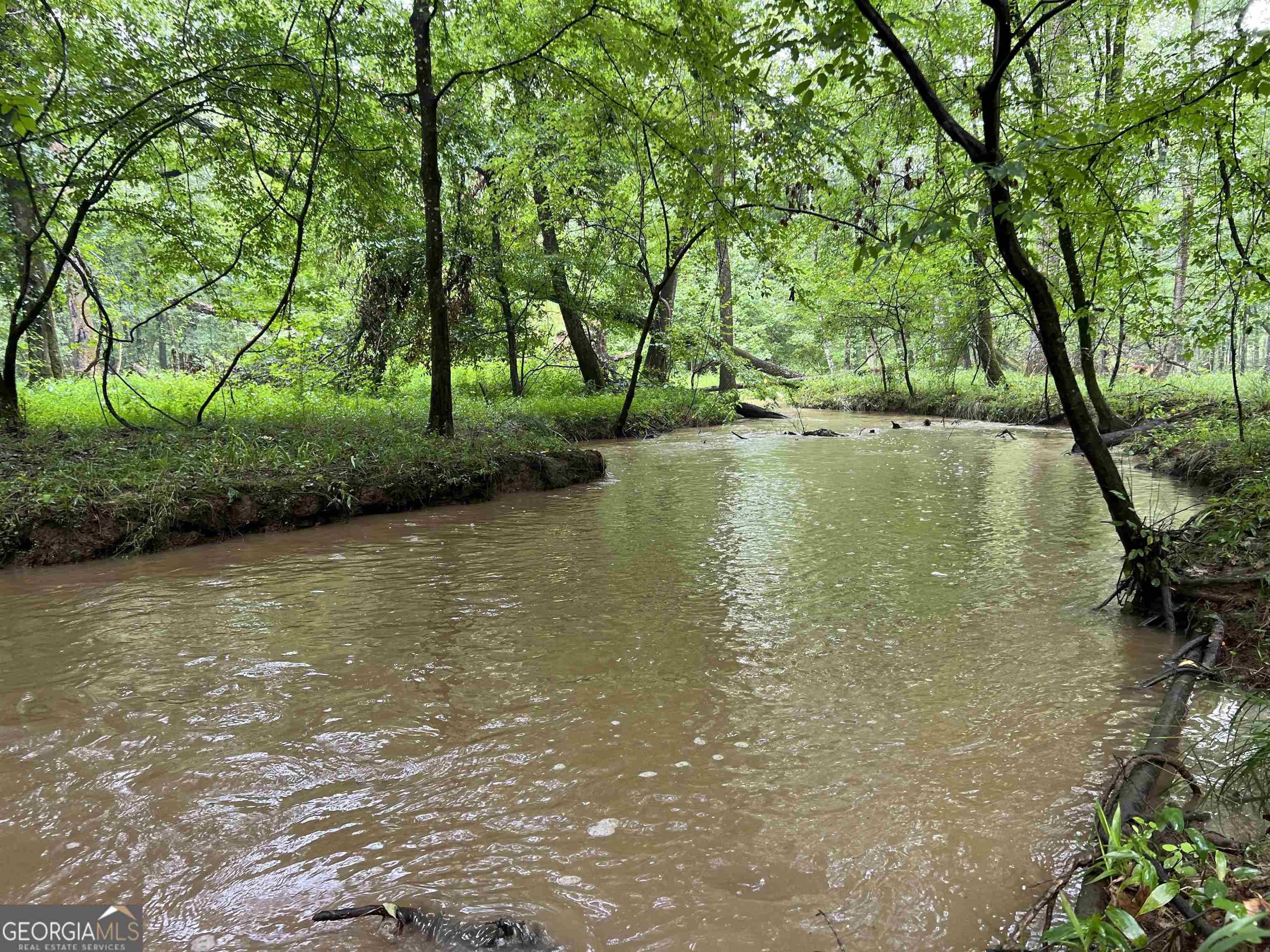 a view of a lake with a trees