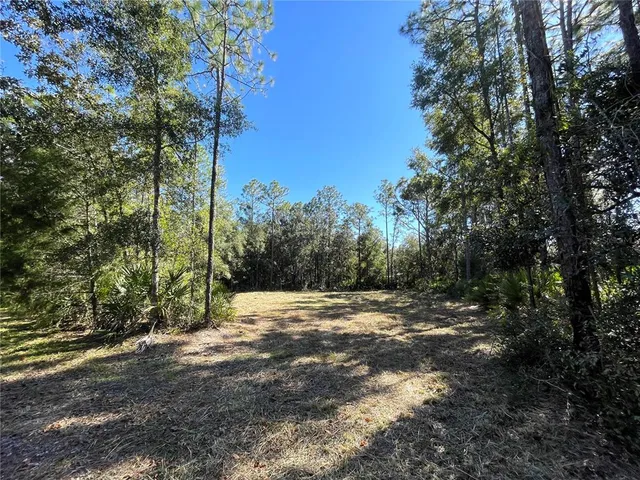 a view of a yard with trees