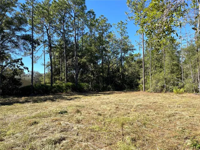 a view of a yard with trees