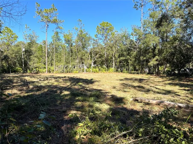 a view of outdoor space with trees