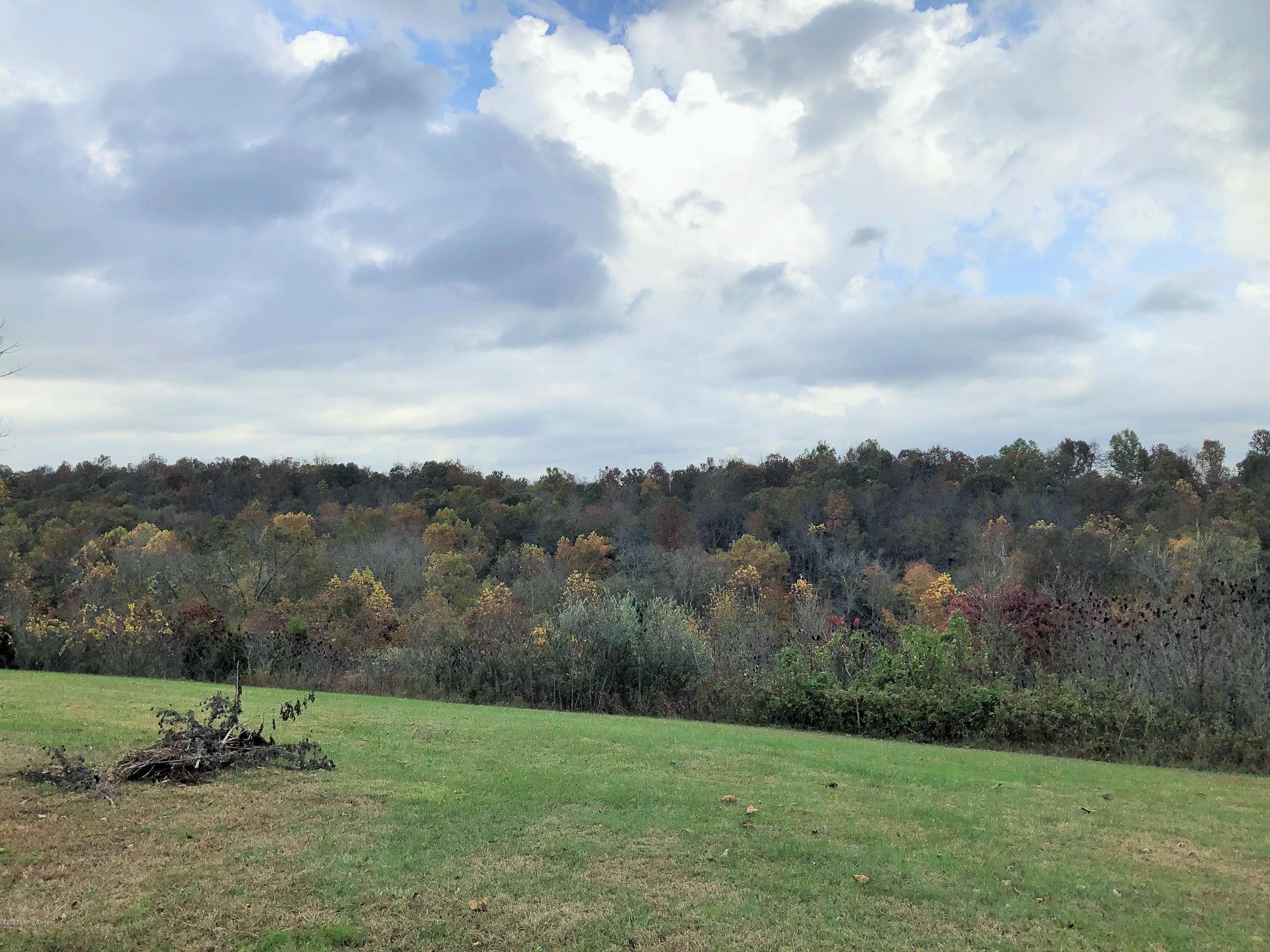 243 Old Peth Road Caneyville, KY 42721 - Photo 17 of 72 2020-10-23_11-32-57_016 (2)