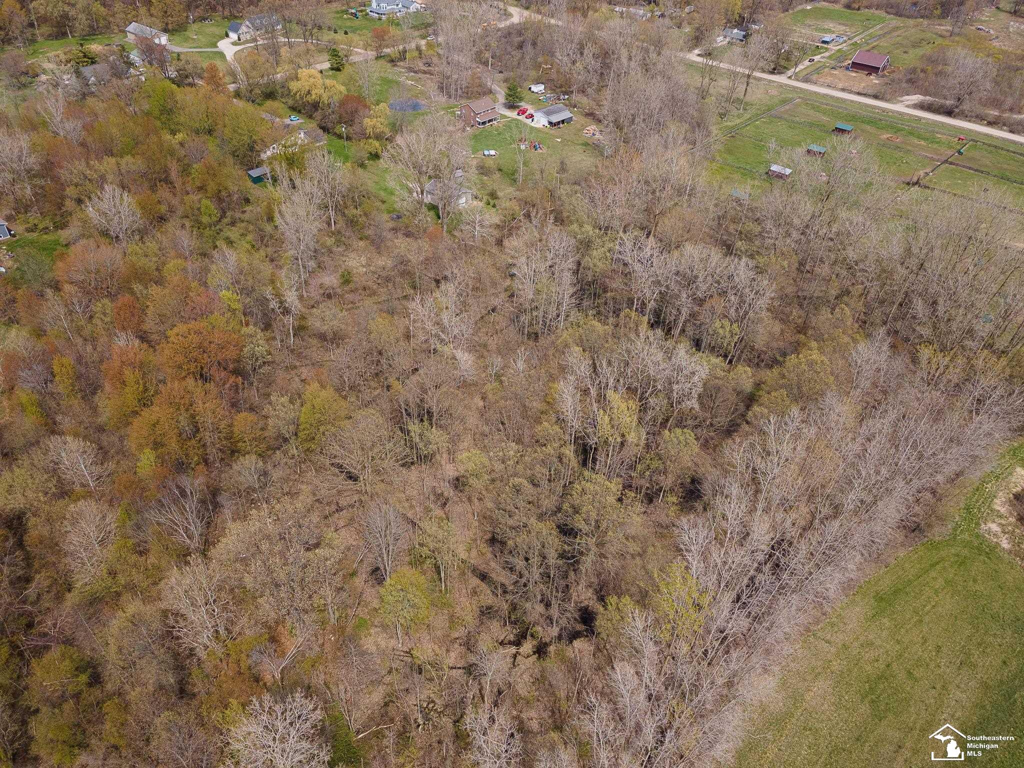 13443 Sherman Road Milan, MI 48160 - Photo 61 of 66 50107543-60.JPG