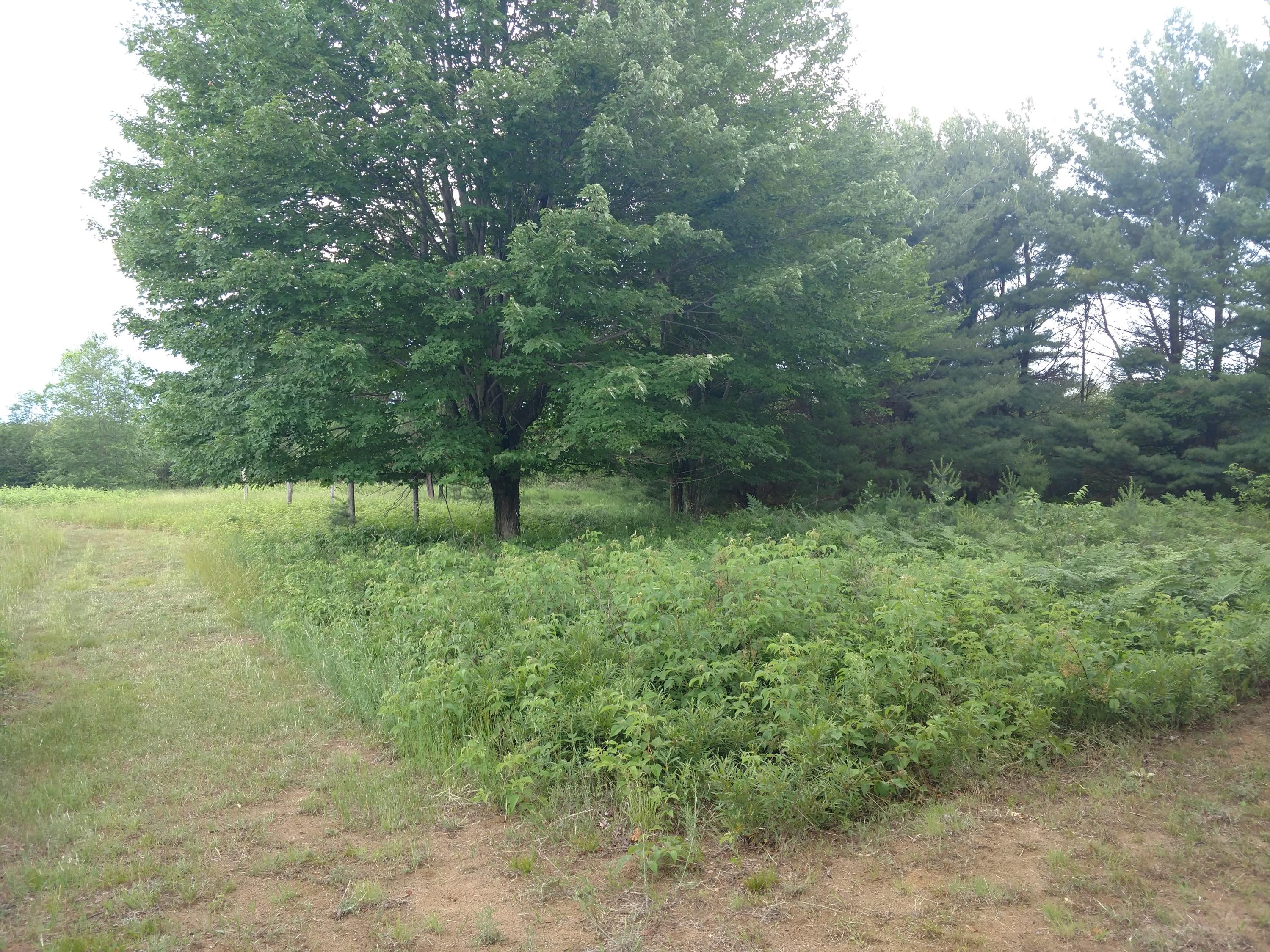 197 North Britt Road Whittemore, MI 48770 - Photo 19 of 27 Gallery Image 19
