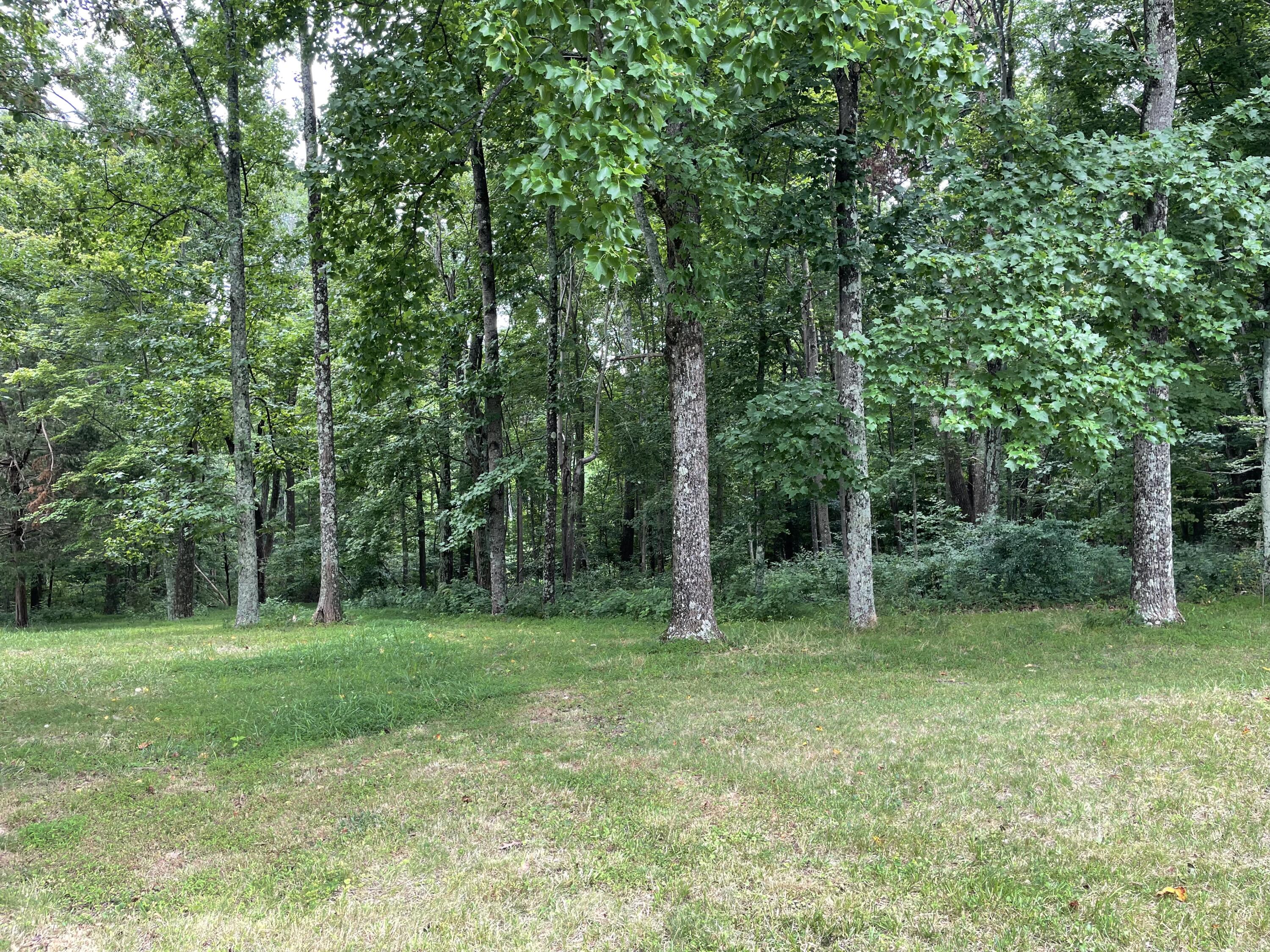 78 Robertson Ridge Road Axton, VA 24054 - Photo 21 of 22 a view of a grassy field with trees in the background