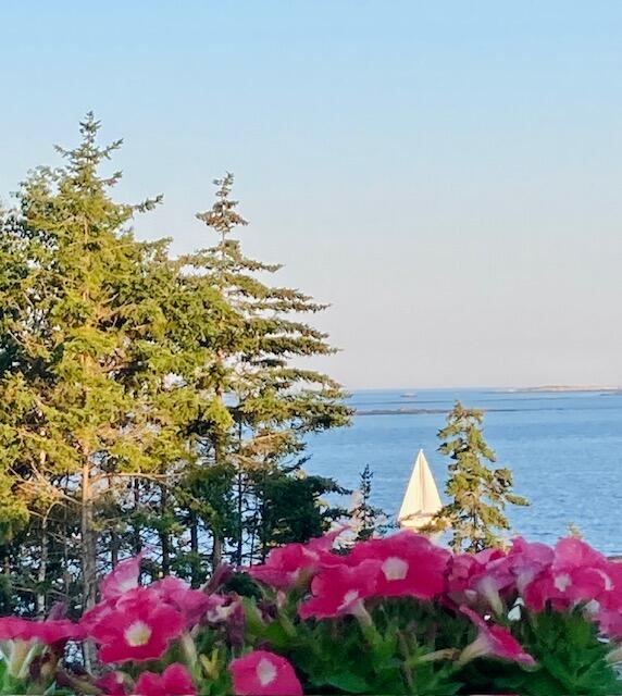 95 Blueberry Lane Harpswell, ME 04066 - Photo 3 of 81 IMG_1275