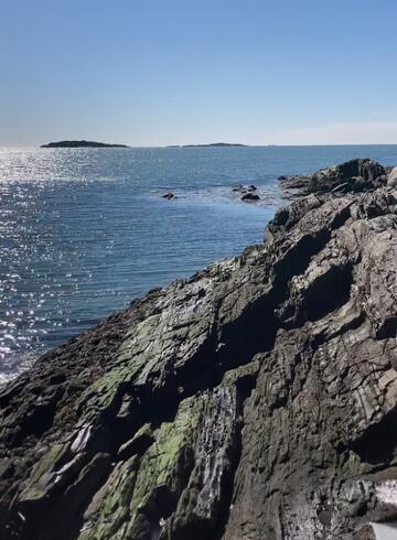 95 Blueberry Lane Harpswell, ME 04066 - Photo 31 of 81 IMG_5272