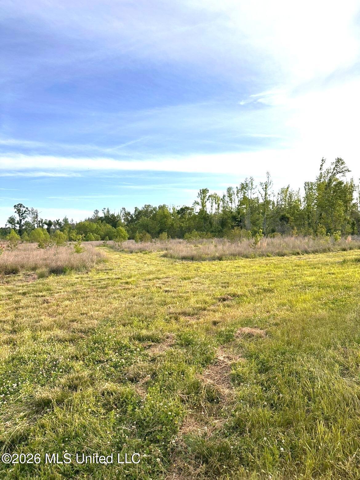 72 Summers Magee Road Kokomo, MS 39643 - Photo 28 of 46 IMG_4947
