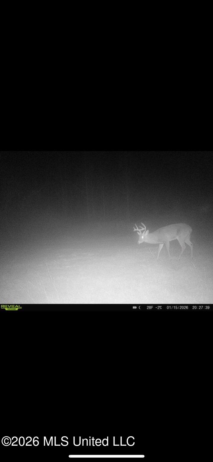 72 Summers Magee Road Kokomo, MS 39643 - Photo 44 of 46 IMG_4935