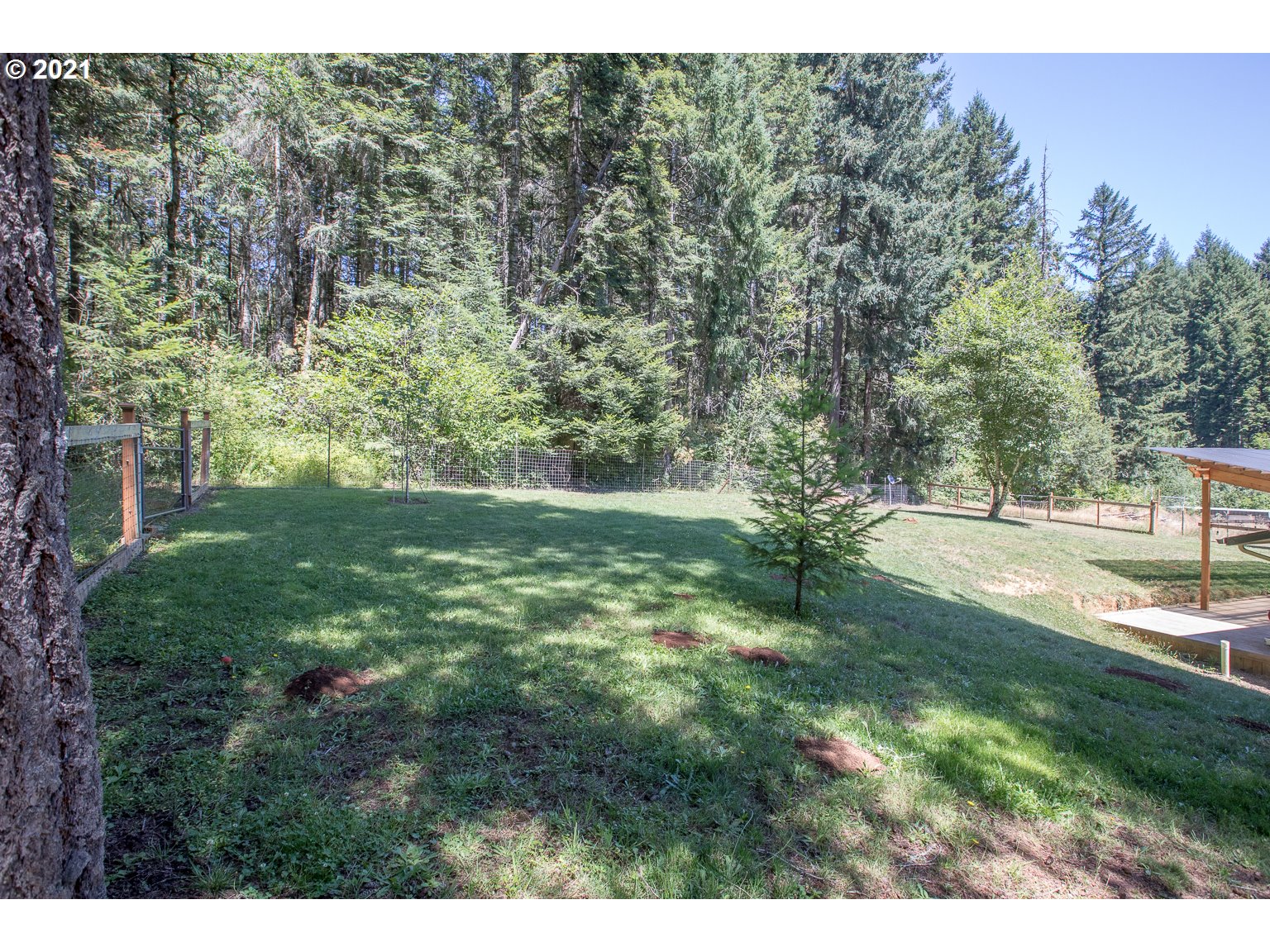 90361 Baker Road Elmira, OR 97437 - Photo 22 of 26 a view of yard with green space