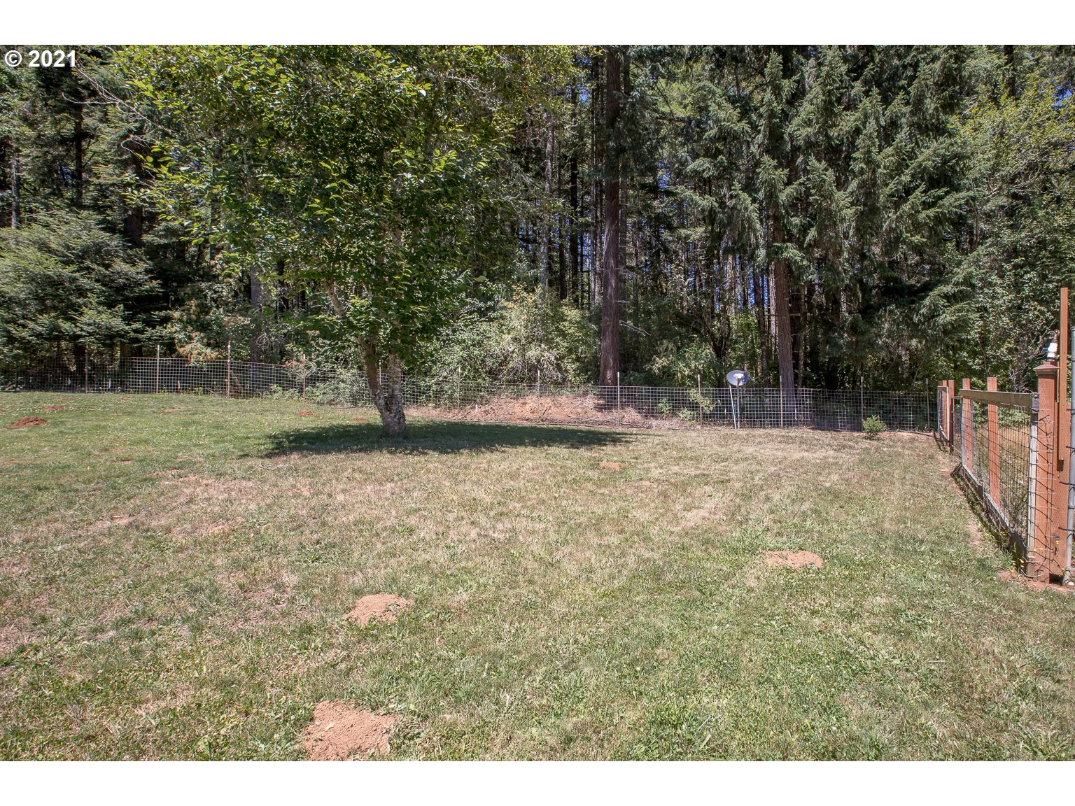 90361 Baker Road Elmira, OR 97437 - Photo 23 of 26 a view of backyard with green space