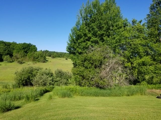 2202 South 13ã‚â½ Road Boon, MI 49618 - Photo 11 of 16 1863597-10.JPG