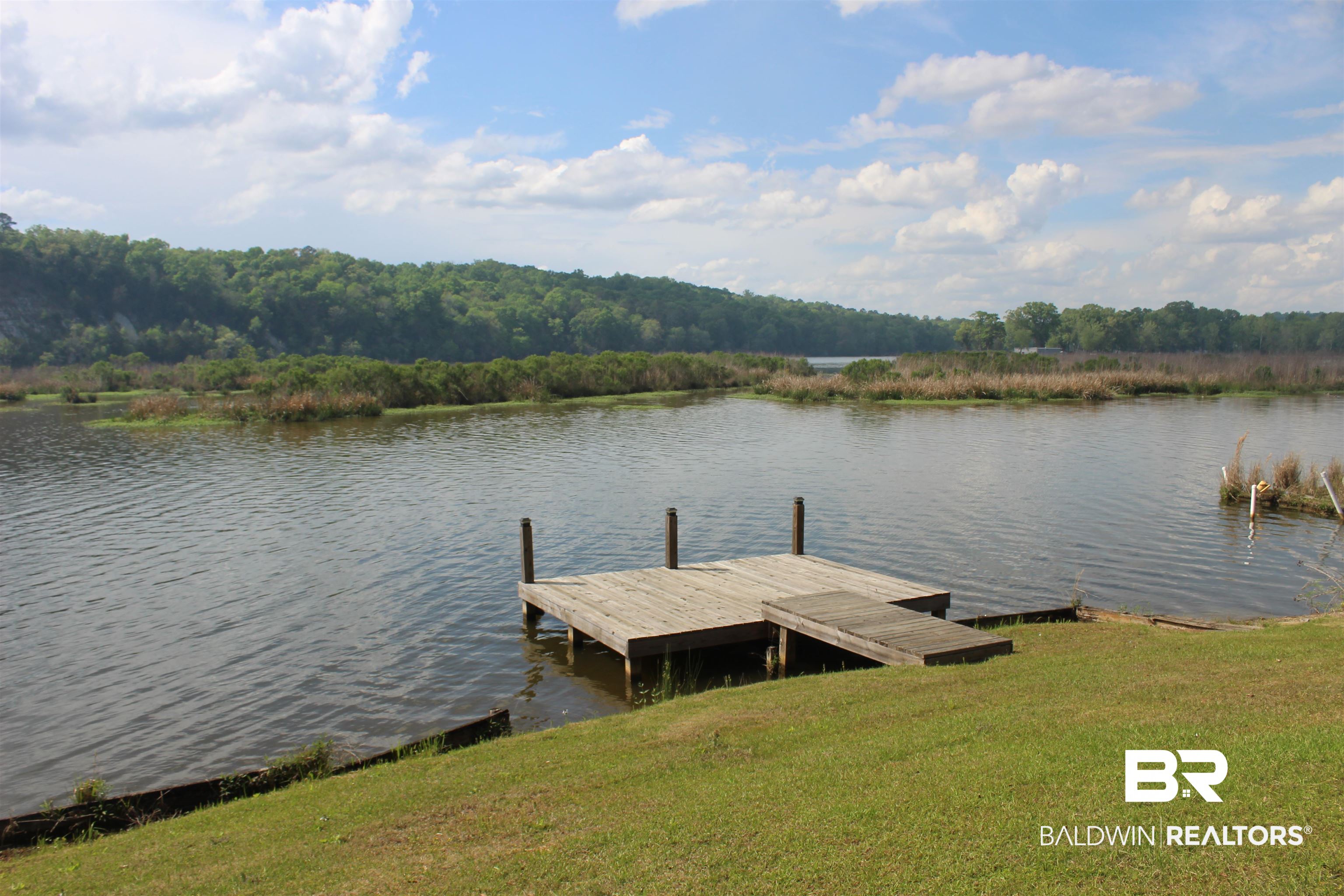 6447 Henderson Road Lowndesboro, AL 36752 - Photo 7 of 22 Dock featuring a water view and a forest view