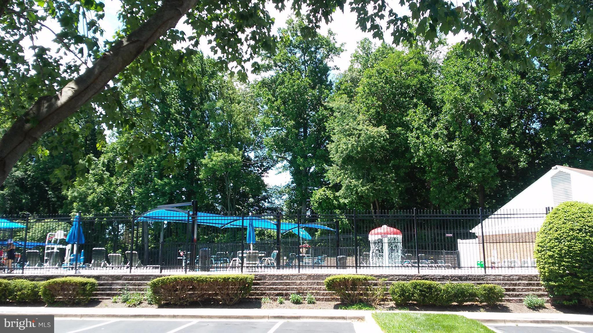 12 Wimbledon Court Silver Spring, MD 20906 - Photo 26 of 26 Community Swimming Pool
