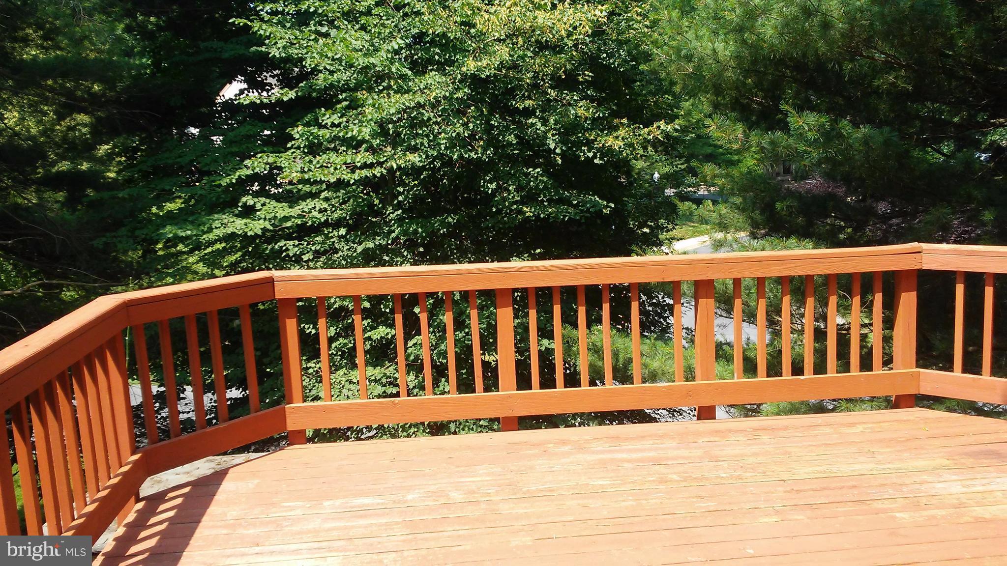 12 Wimbledon Court Silver Spring, MD 20906 - Photo 9 of 26 View off Back out Patio Doors in Kitchen