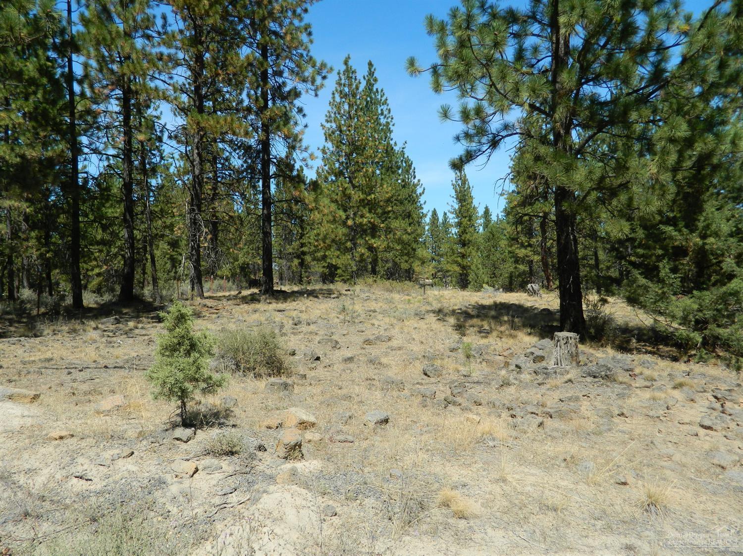 19530 Buck Canyon Road Bend, OR 97702 - Photo 1 of 20 Primary Photo