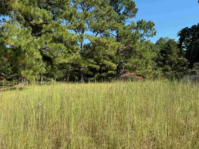 $370,400 | 0 Water Mill Road, Cowpens, SC 29330