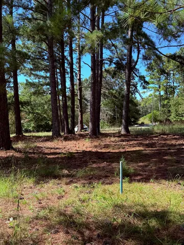 $350,000 | 0 Water Mill Road, Cowpens, SC 29330