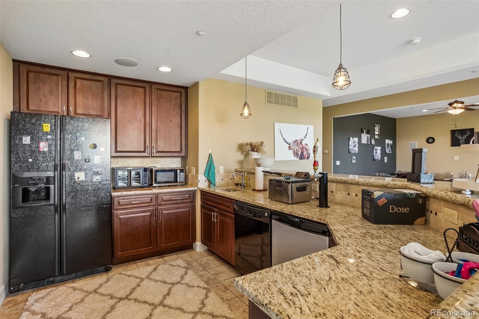 11646 Dunrich Road Parker, CO 80138 - Photo 37 of 50