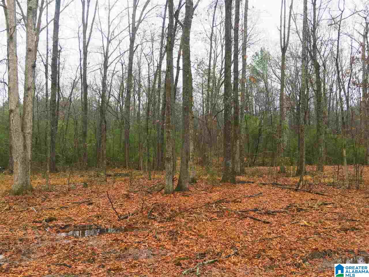 400 Chelsea Road, Unit 400 Columbiana, AL 35051 - Photo 4 of 6