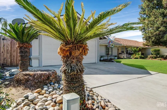 a plant in front of a house with a yard
