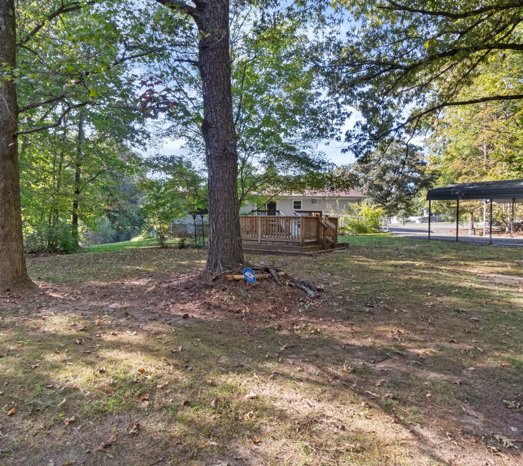 4605 Marion Road Cunningham, TN 37052 - Photo 11 of 45 a view of a yard with plants and trees