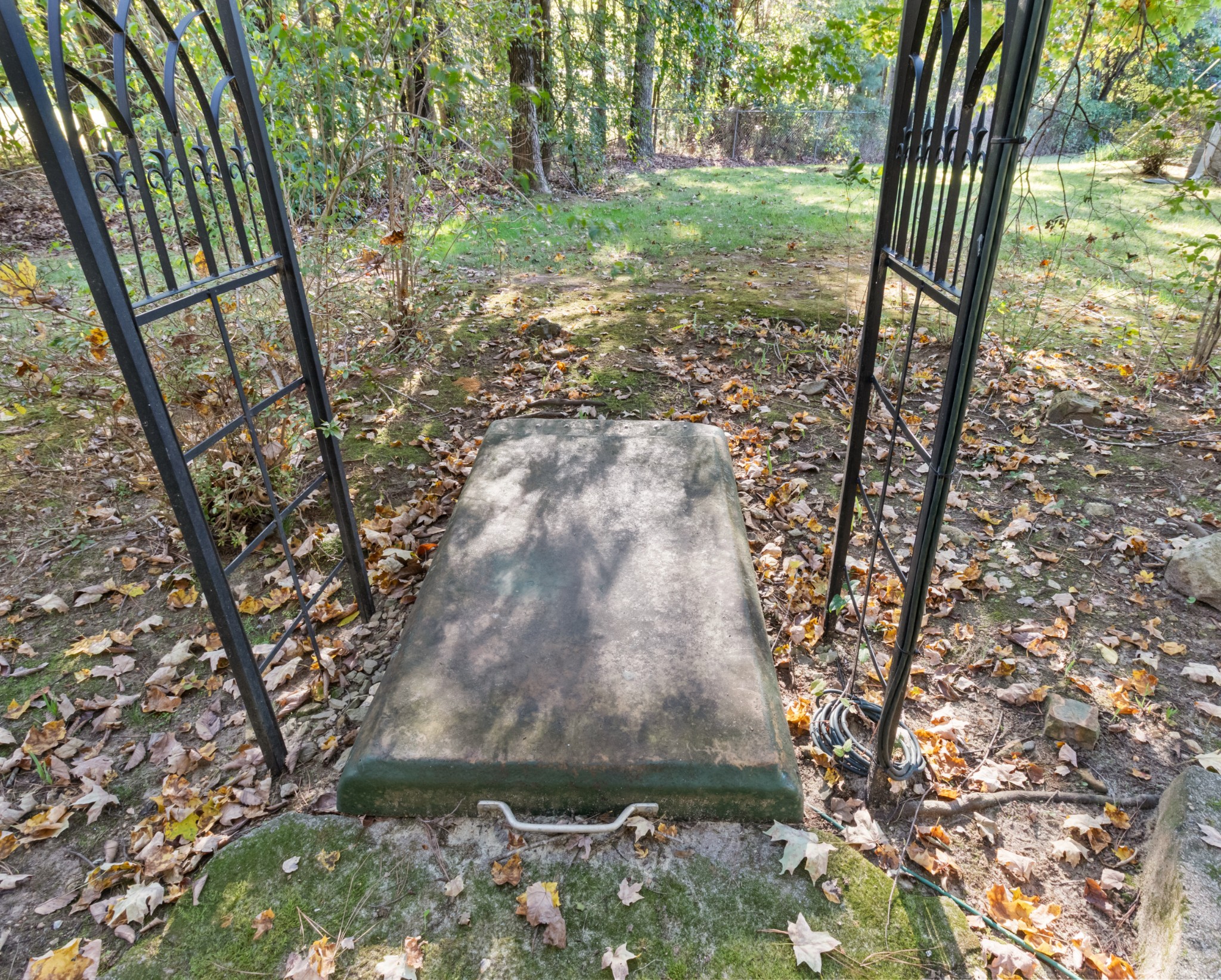 4605 Marion Road Cunningham, TN 37052 - Photo 38 of 45 a view of outdoor space and yard