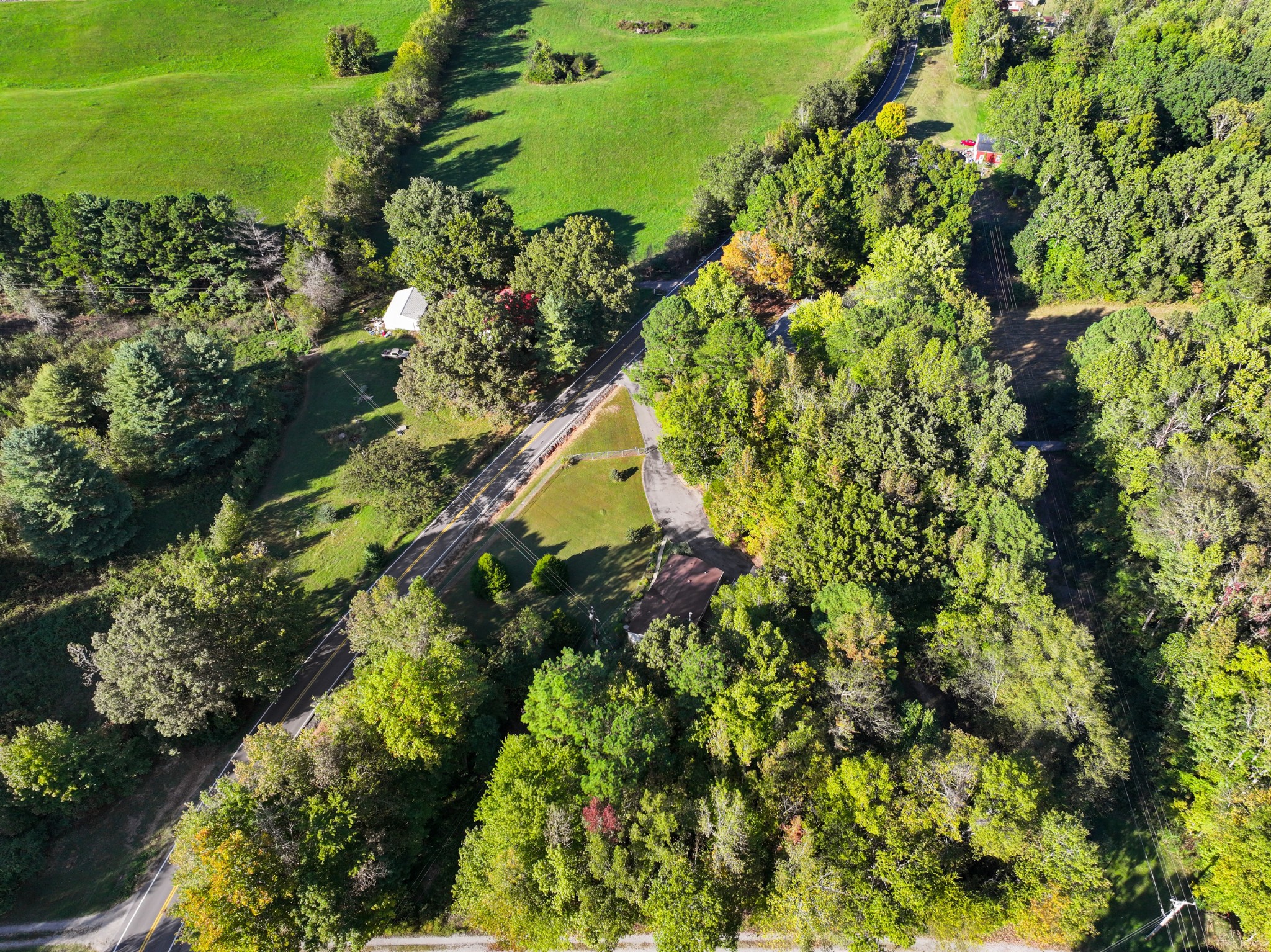 4605 Marion Road Cunningham, TN 37052 - Photo 43 of 45 a view of a garden