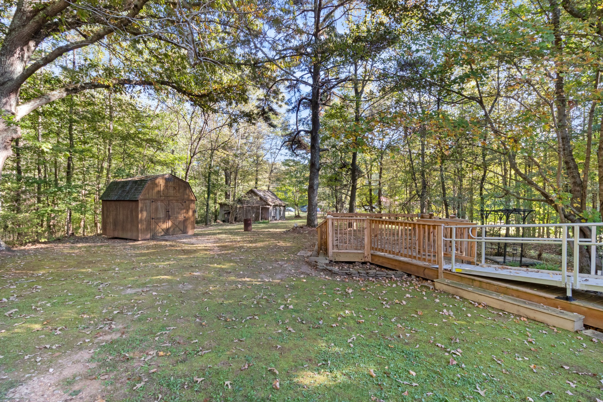 4605 Marion Road Cunningham, TN 37052 - Photo 7 of 45 a view of a trees with yard