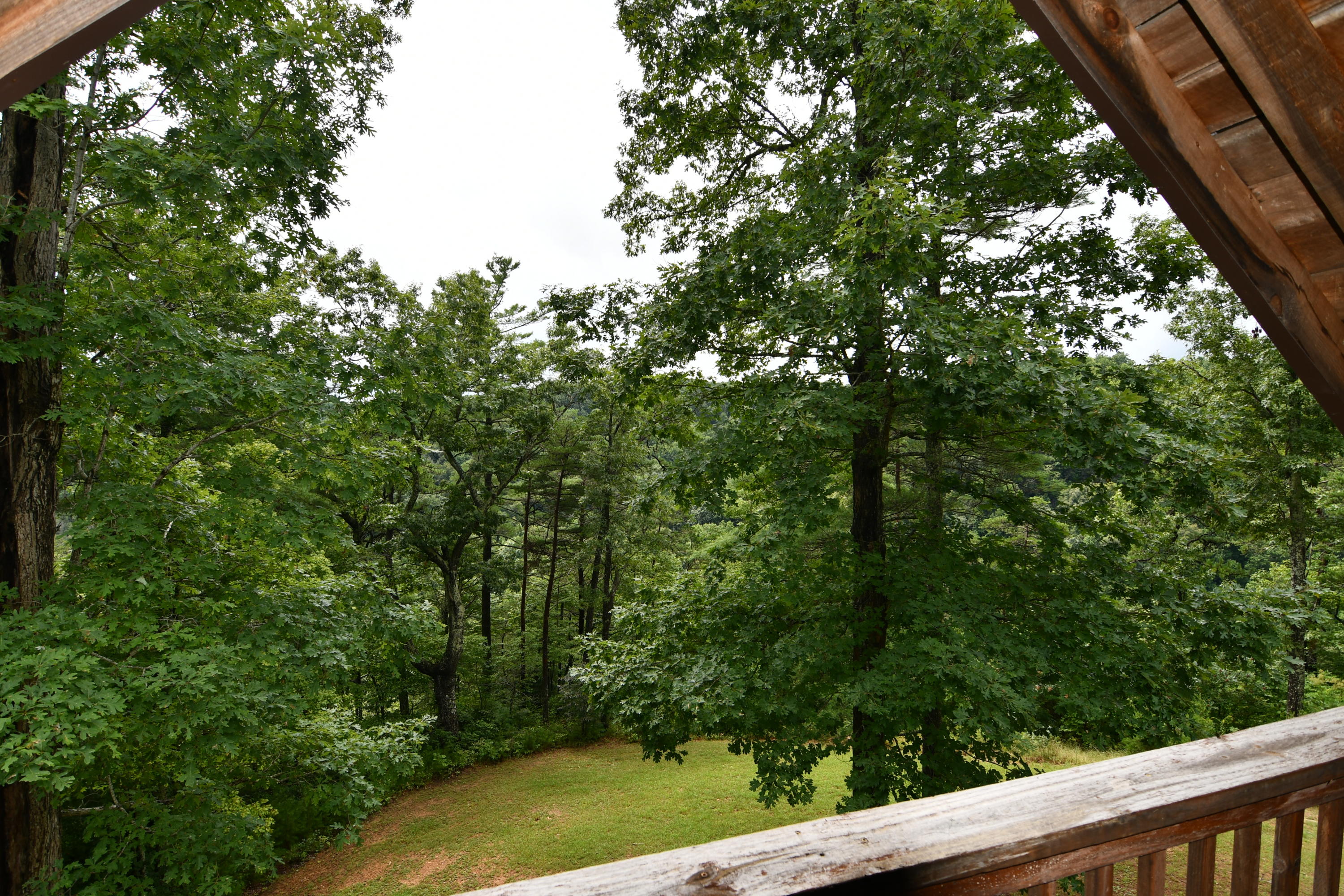 100 Turkey Road Wellington, KY 40387 - Photo 20 of 21 DSC_2658