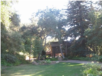 a view of a yard in front of a house