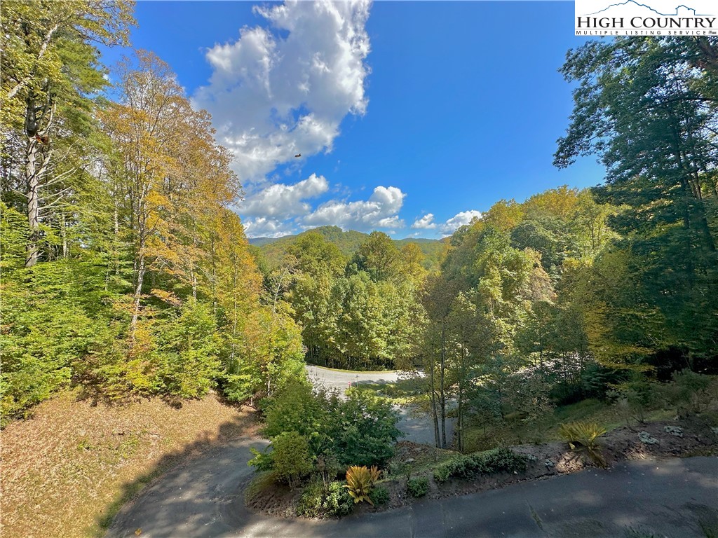 120 Ontario Ridge Boone, NC 28607 - Photo 5 of 49 Gallery Image 5