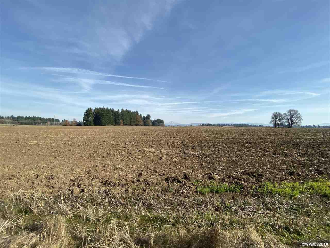 South Arthur (lot 903) Road Oregon City, OR 97045 - Photo 3 of 6