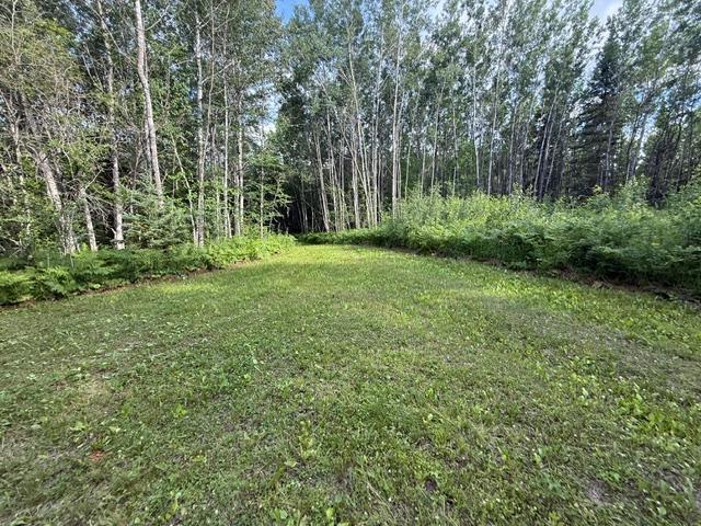 Tbd North Moose Lake Road Northeast Pennington, MN 56663 - Photo 17 of 26