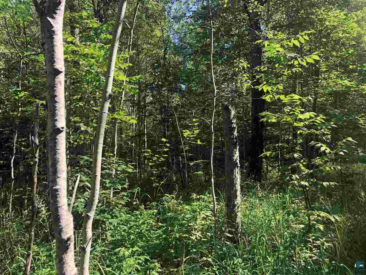 Two Holm Road Two Harbors, MN 55616 - Photo 3 of 10