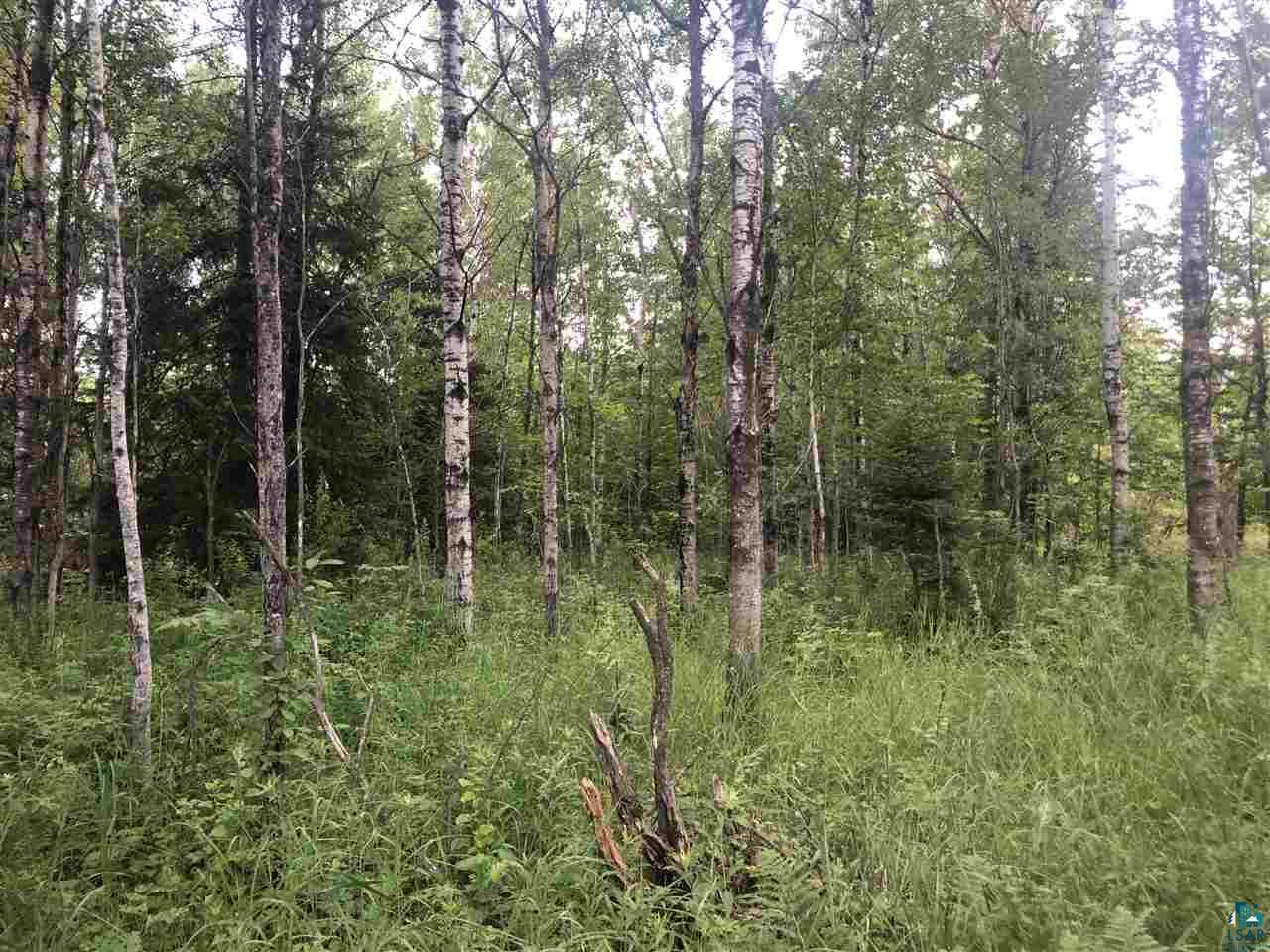 Two Holm Road Two Harbors, MN 55616 - Photo 4 of 10