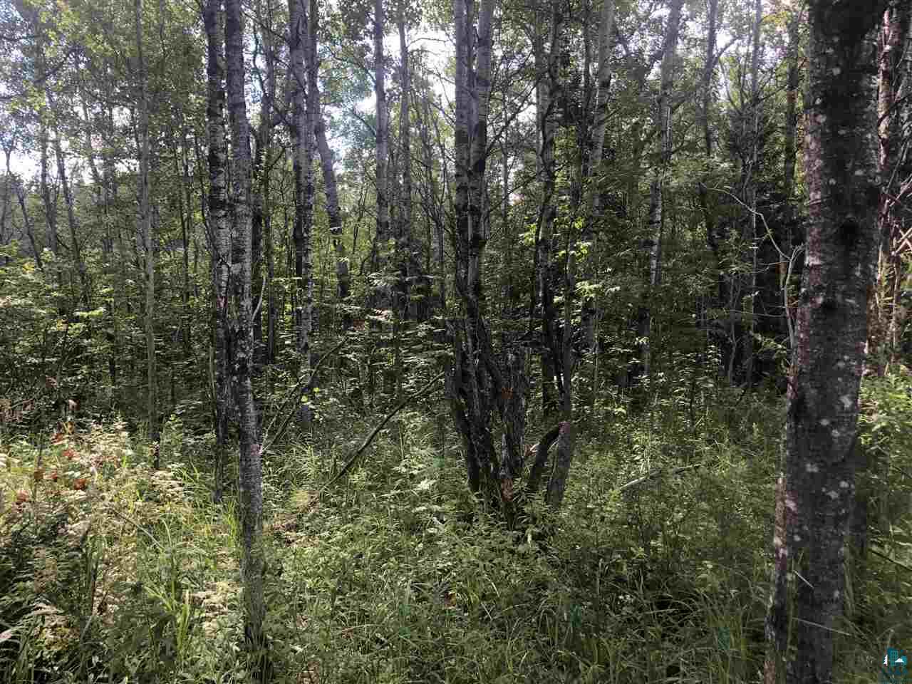Two Holm Road Two Harbors, MN 55616 - Photo 5 of 10
