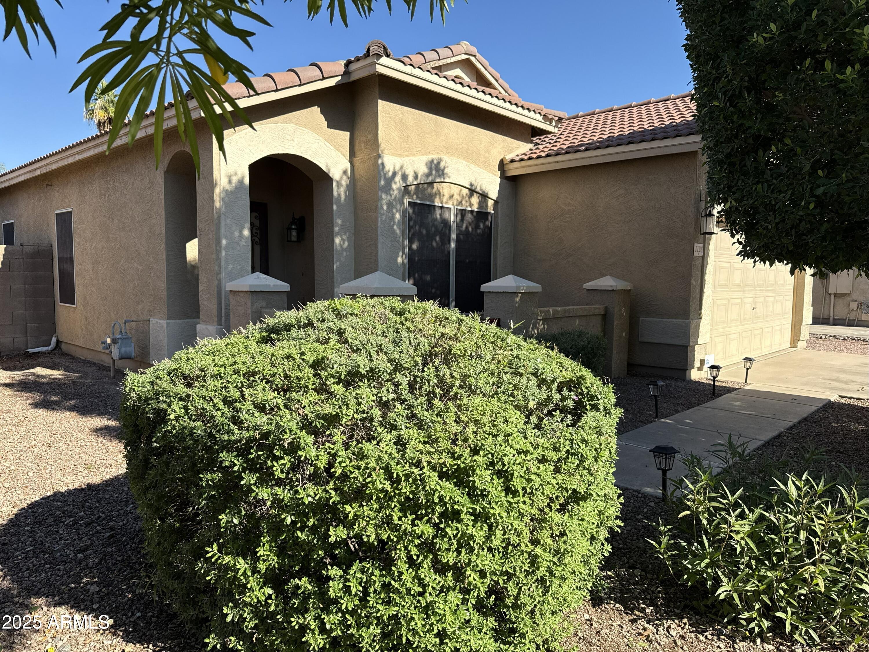 1126 East Pedro Road Phoenix, AZ 85042 - Photo 2 of 34 a view of a house with a small yard plants and large tree