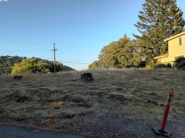 a view of a dry yard with a tree