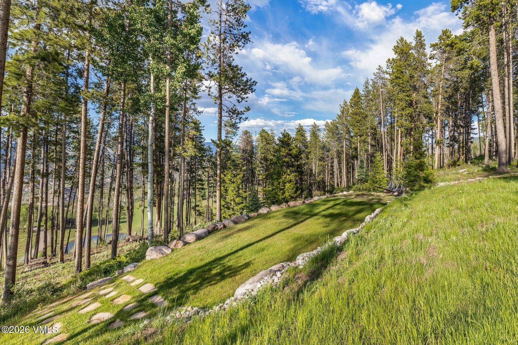 317 Elk Woods Road Edwards, CO 81632 - Photo 47 of 56 Flat Back Yard